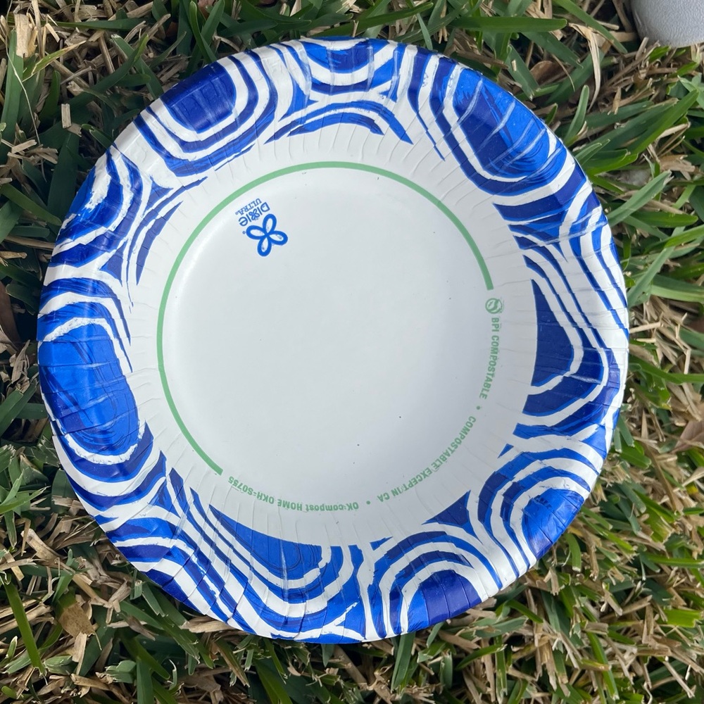 Blue and White Paper Plates